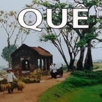 Yo Yo