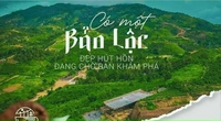 HỒ QUỐC THỚI Miracle EML