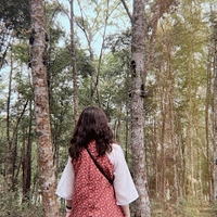 Thảo Đặng