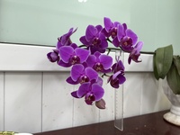 nguyễn duy khánh