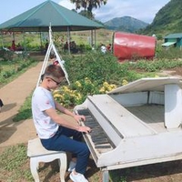 Tình Hải