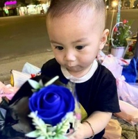 Thái Sơn Mobile Bán Trả Góp