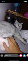 KrisTo