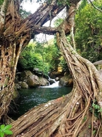 Tuấn