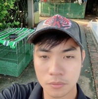Tửng Nhỏ