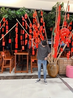 nguyễn nguyễn