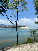 Nguyễn Nam