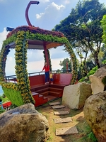 Cẩm