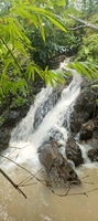 Lệ Phi Vũ