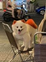 Thùy Trangg