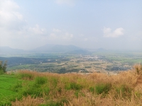 Trần Khoai