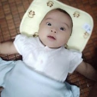 Chu Linh Phạm