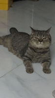 Nguyễn Thuý Hằng