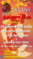 Cá Cảnh Saigon Fish