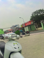 Vũ Hoài Nam