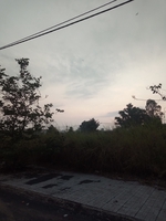 vượng