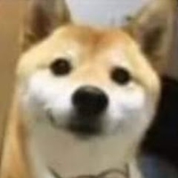 Quân Nguyễn Đình