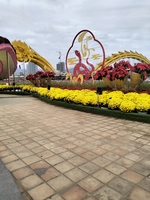 Ngọc ĐT