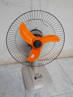 A Hiển