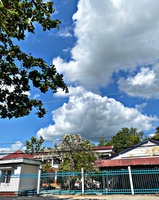 Nguyễn Trần Hoàng Thanh