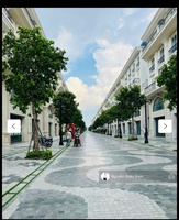 Thảo Dược Mỹ nghệ Sơn Trà