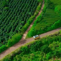 Lê Thành Hướng Lội