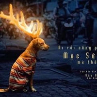 Vong Xuyên Lưu Khách