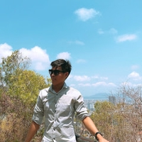 Trọng Cường Lê