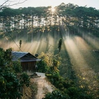 Trần