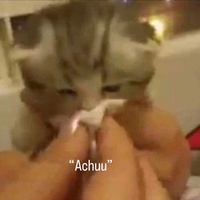 Đoàn Thụy Minh Uyên