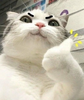 Nhi
