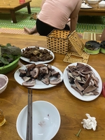 Tiến ok