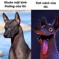 Nguyễn Huy Lân