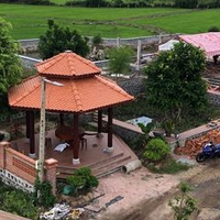 Tý Trần