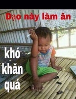 gà vườn
