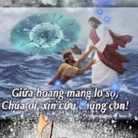 Tài Lộc Ván Ép
