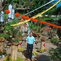 Hiếu Anh