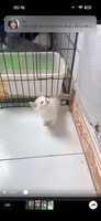 Carla ơi