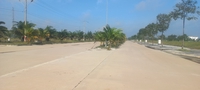 Thu Bùi