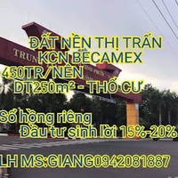 trúc giang