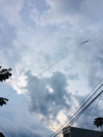 Dương Nguyễn