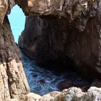 huỳnh ngọc đạt