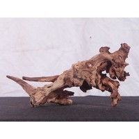 Lũa Gỗ Bình Thạnh