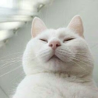 Nguyễn Thị Tuyết Vân