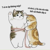 điện thoại cũ