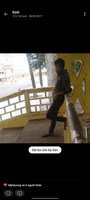 Dinh