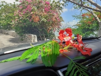 Trần Văn Hân