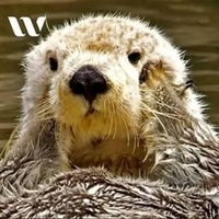 Nguyễn Công Thuận Phát