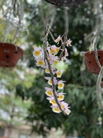quách văn hiệp