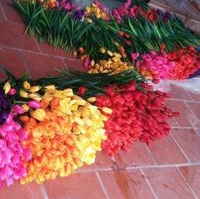 Đại Lý Hoa Lụa
